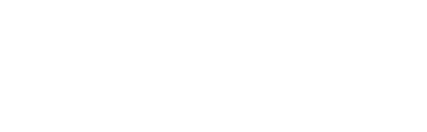 TappSys Inc.